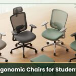 top student ergonomic chairs